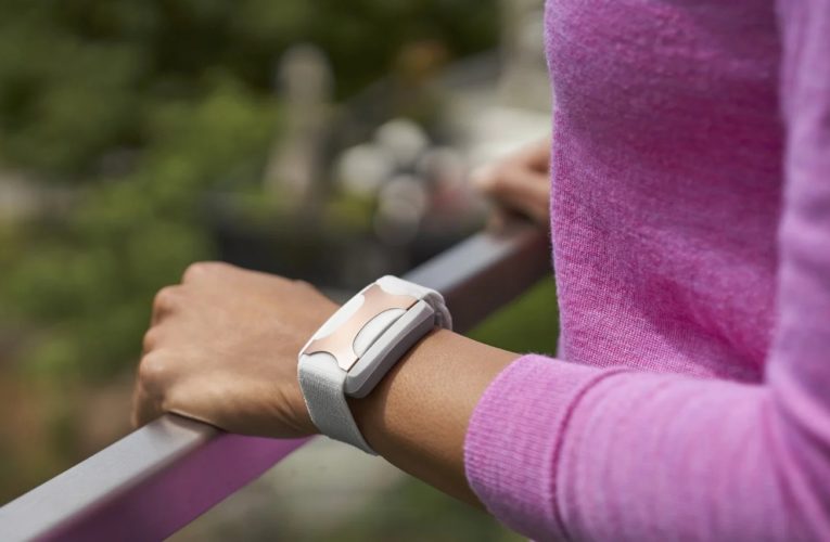 Anneta: Can a Wearable Device Reduce Stress?